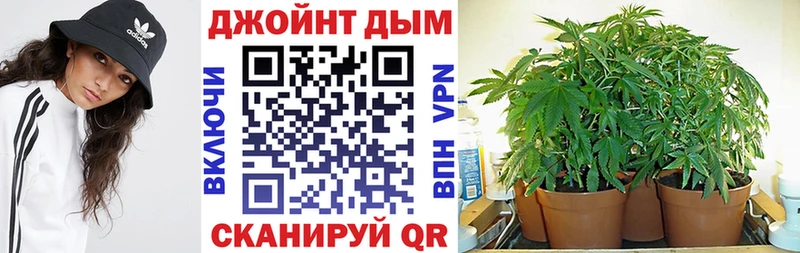 Канабис сатива  Тырныауз 